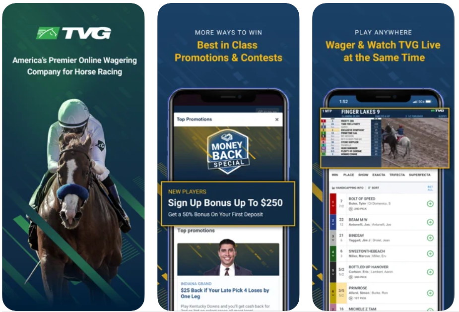 Horse Betting in Illinois